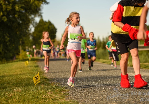 16. Wilhelmsburger Stadtlauf