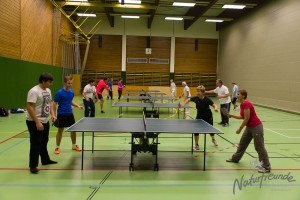 Tischtennis-Wilhelmsburg-300x200