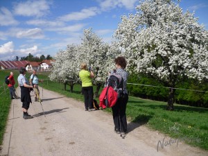 Ullis Wanderungen 2