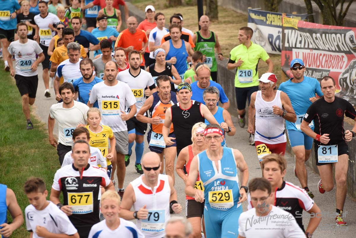 8_Wilhelmsburger_Stadtlauf_1409